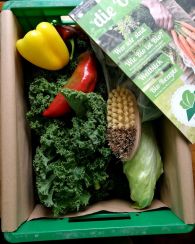 WhatsApp Image 2018-01-19 at 10.05.54.jpeg